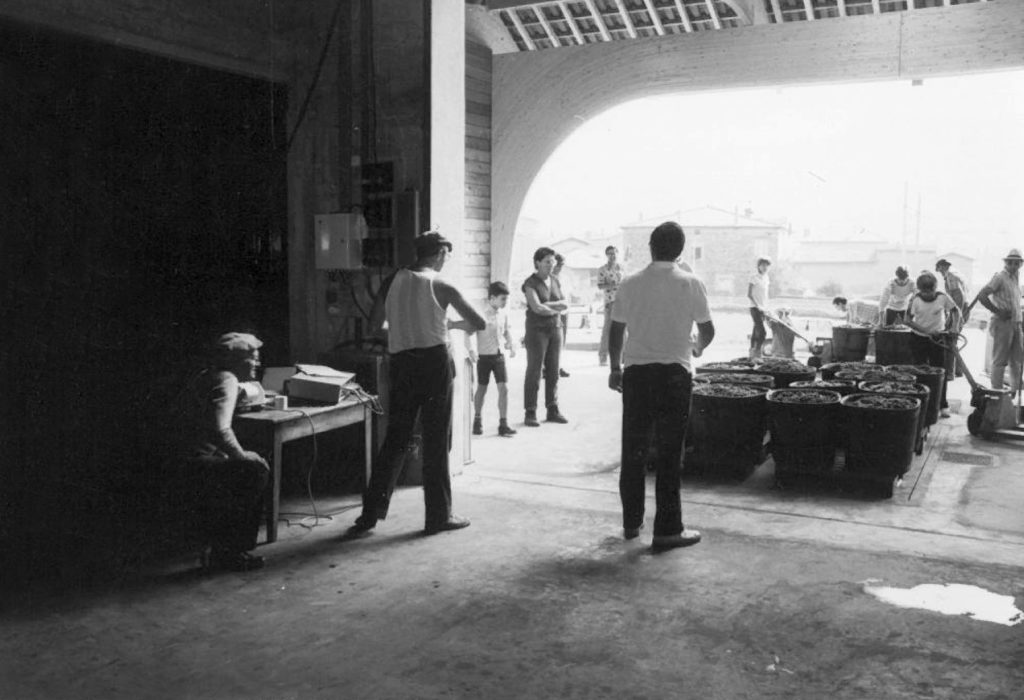 Vendanges Guigal - 1983